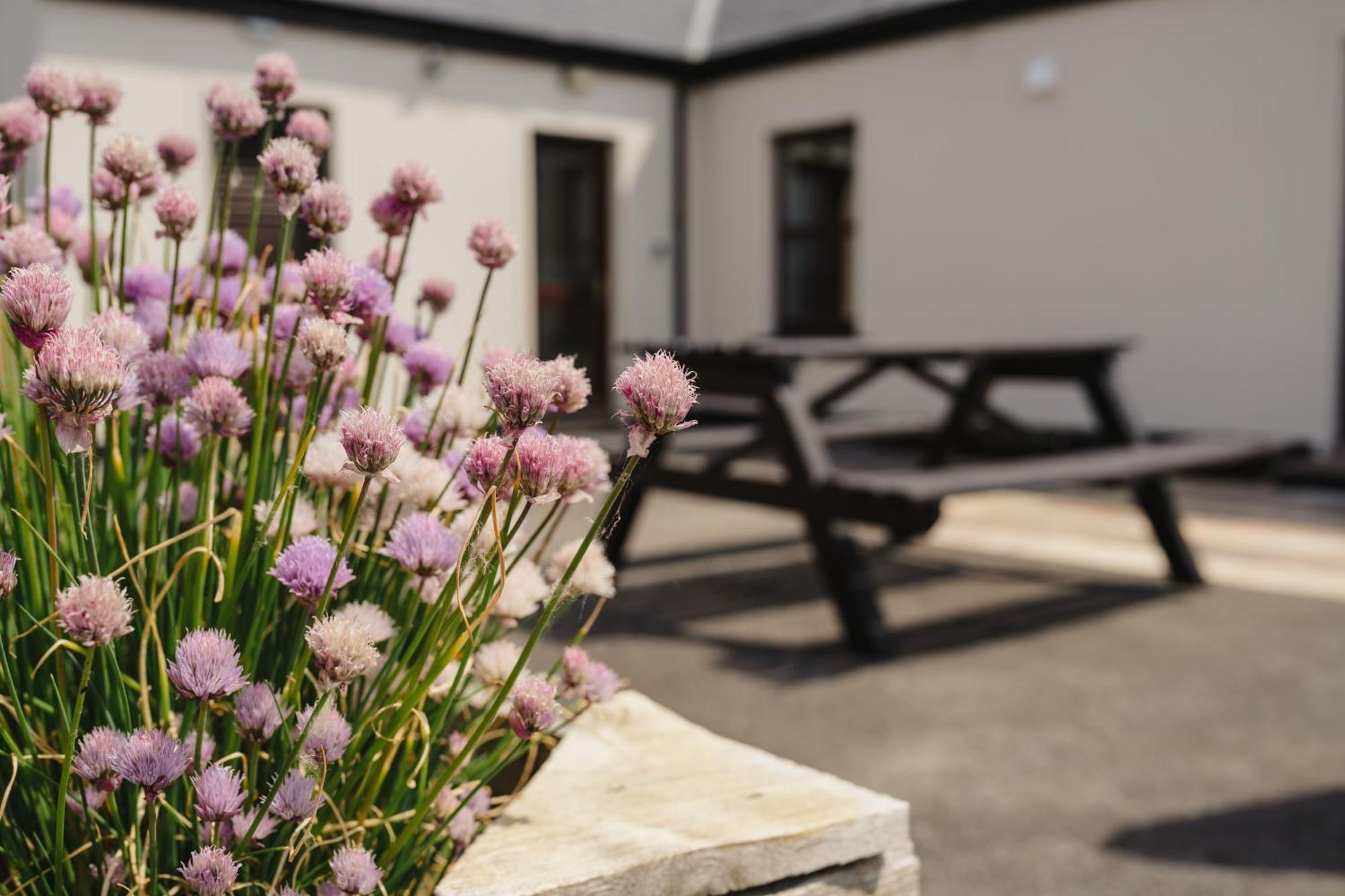 Creevy Cottages ロスナウラー エクステリア 写真